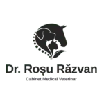 logo_razvan